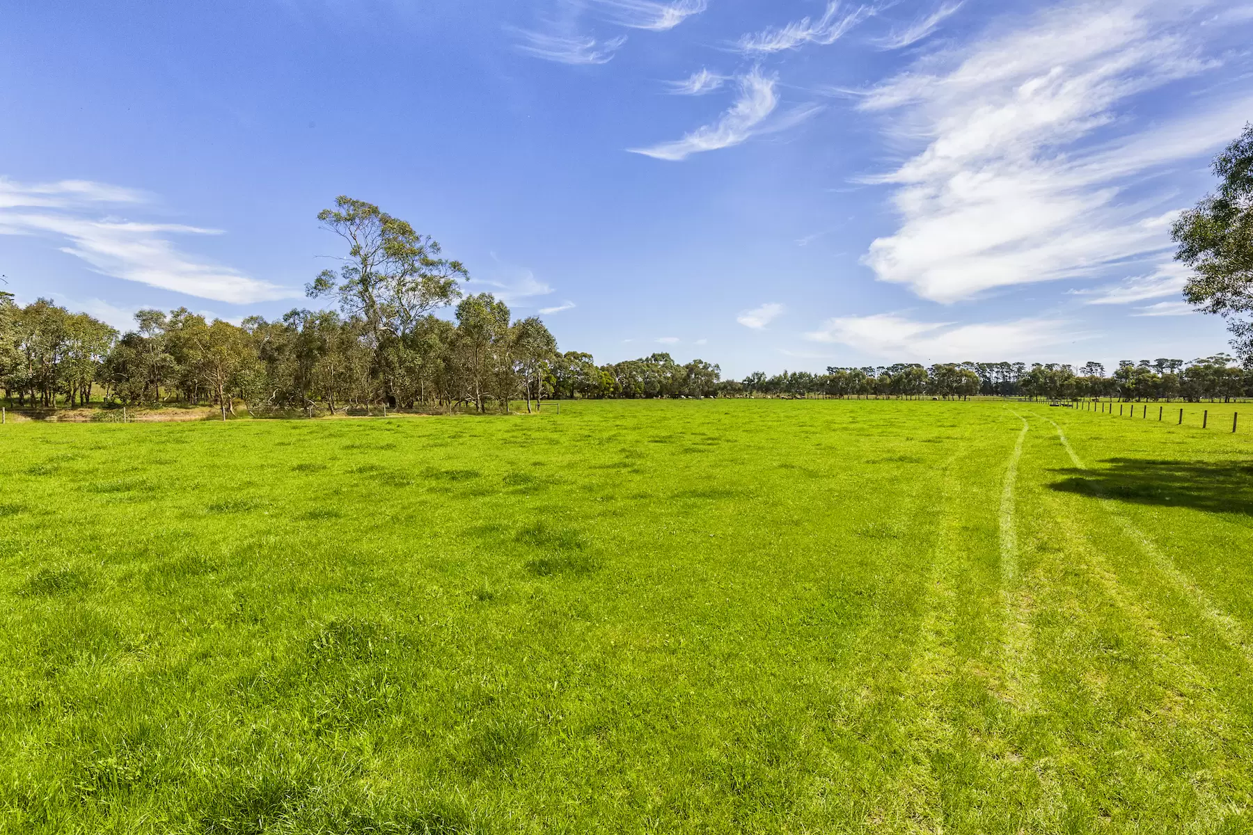 130 Hendersons Road, Bittern Sold by Melbourne Sotheby's International Realty - image 6