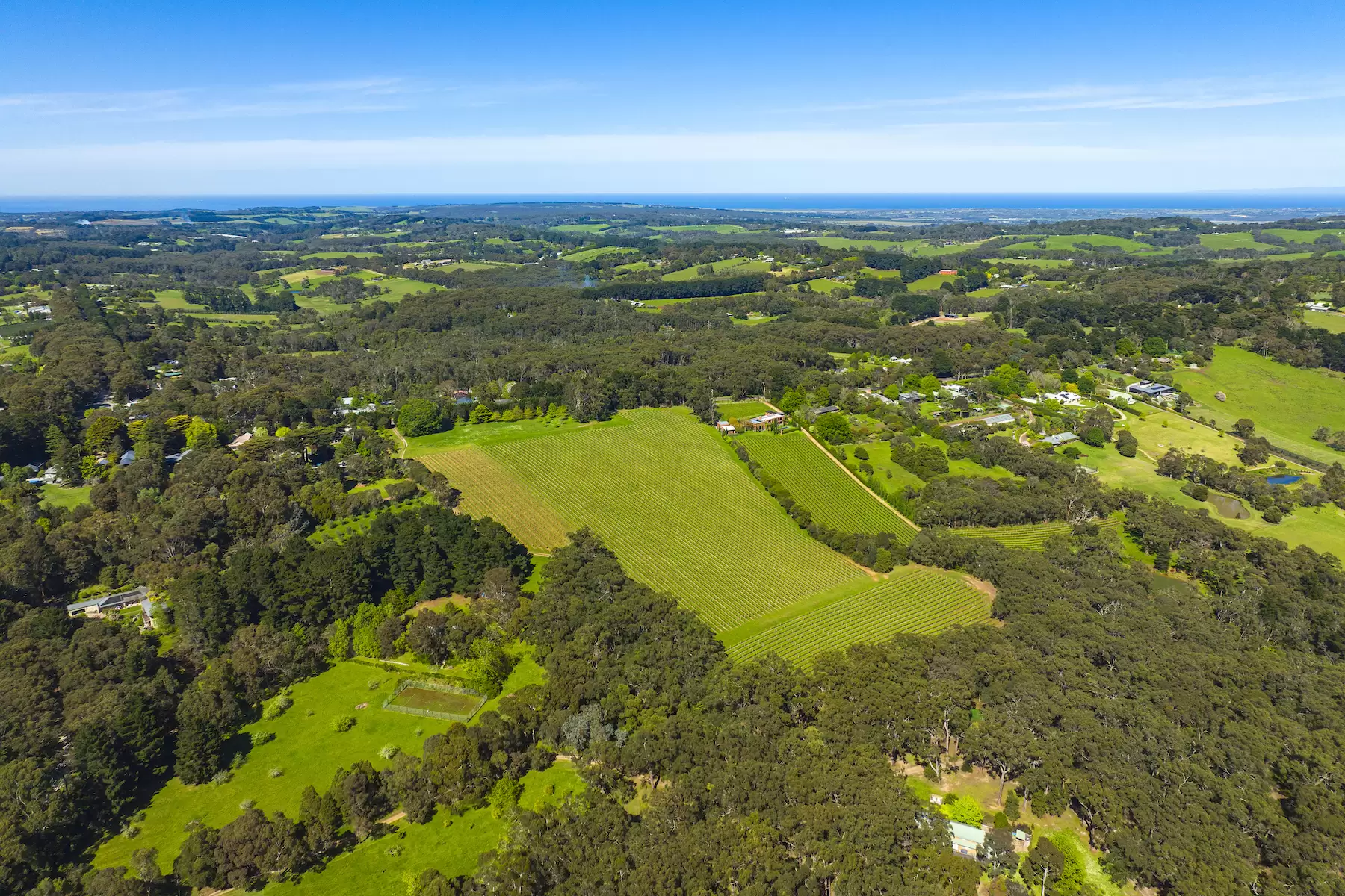 380-396 Arthurs Seat Road, Red Hill For Sale by Melbourne Sotheby's International Realty - image 15