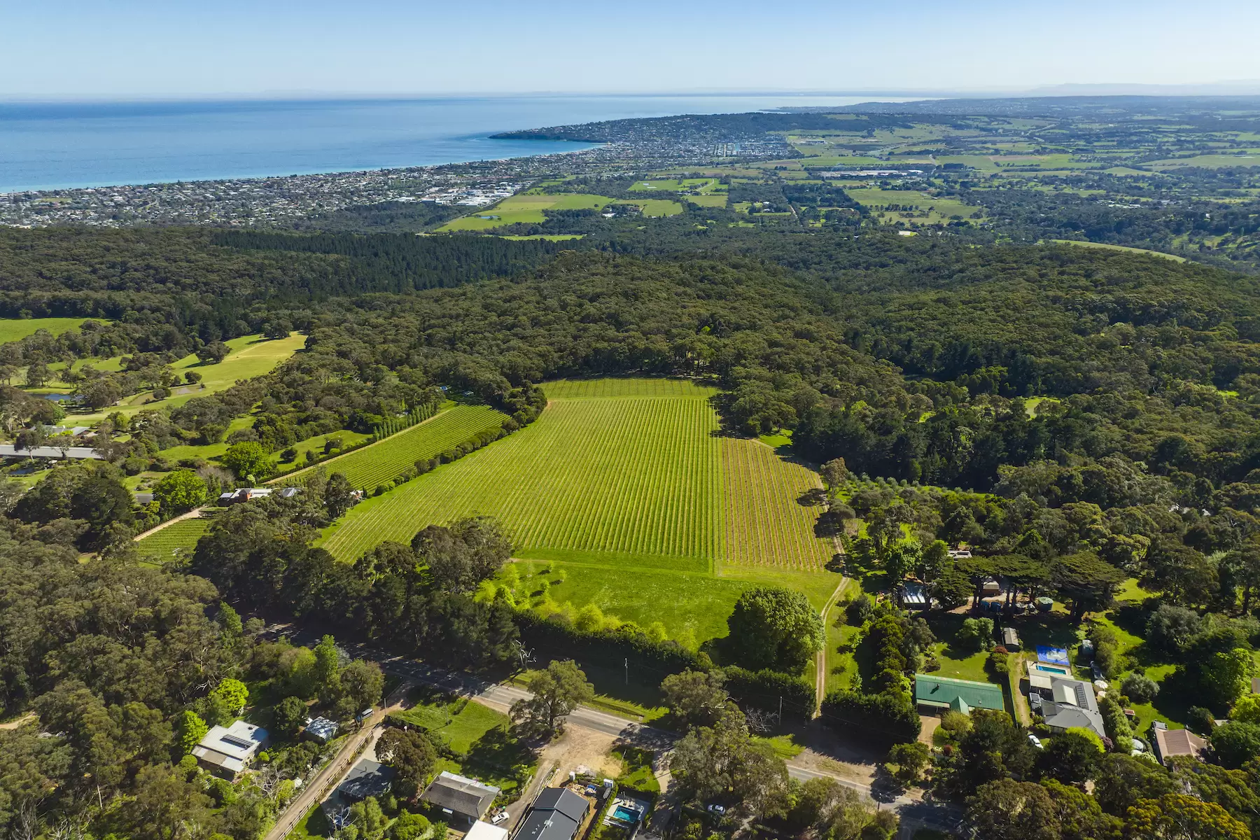 380-396 Arthurs Seat Road, Red Hill For Sale by Melbourne Sotheby's International Realty - image 12