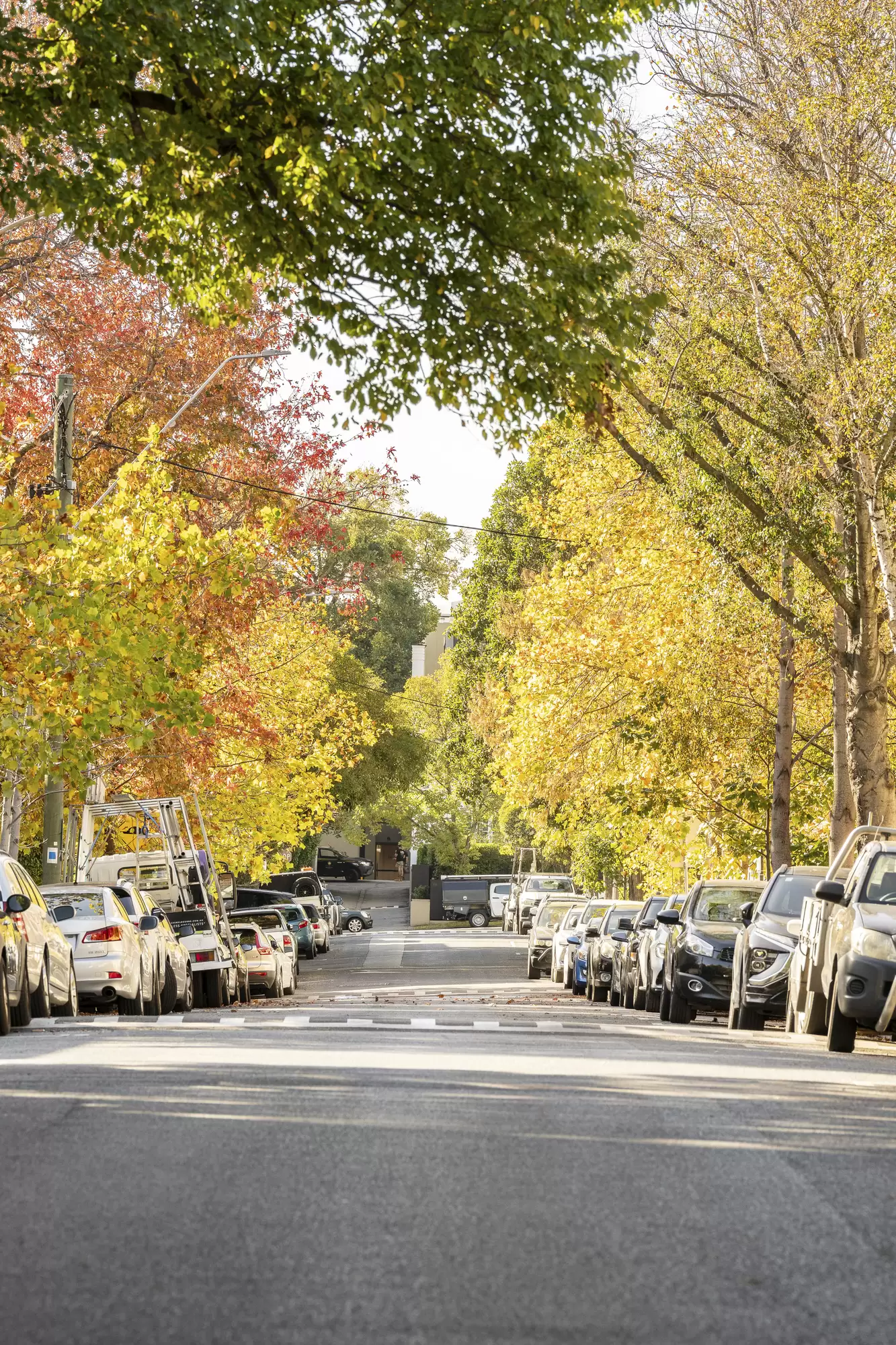 6 & 8-10 Marne Street, South Yarra For Sale by Melbourne Sotheby's International Realty - image 5