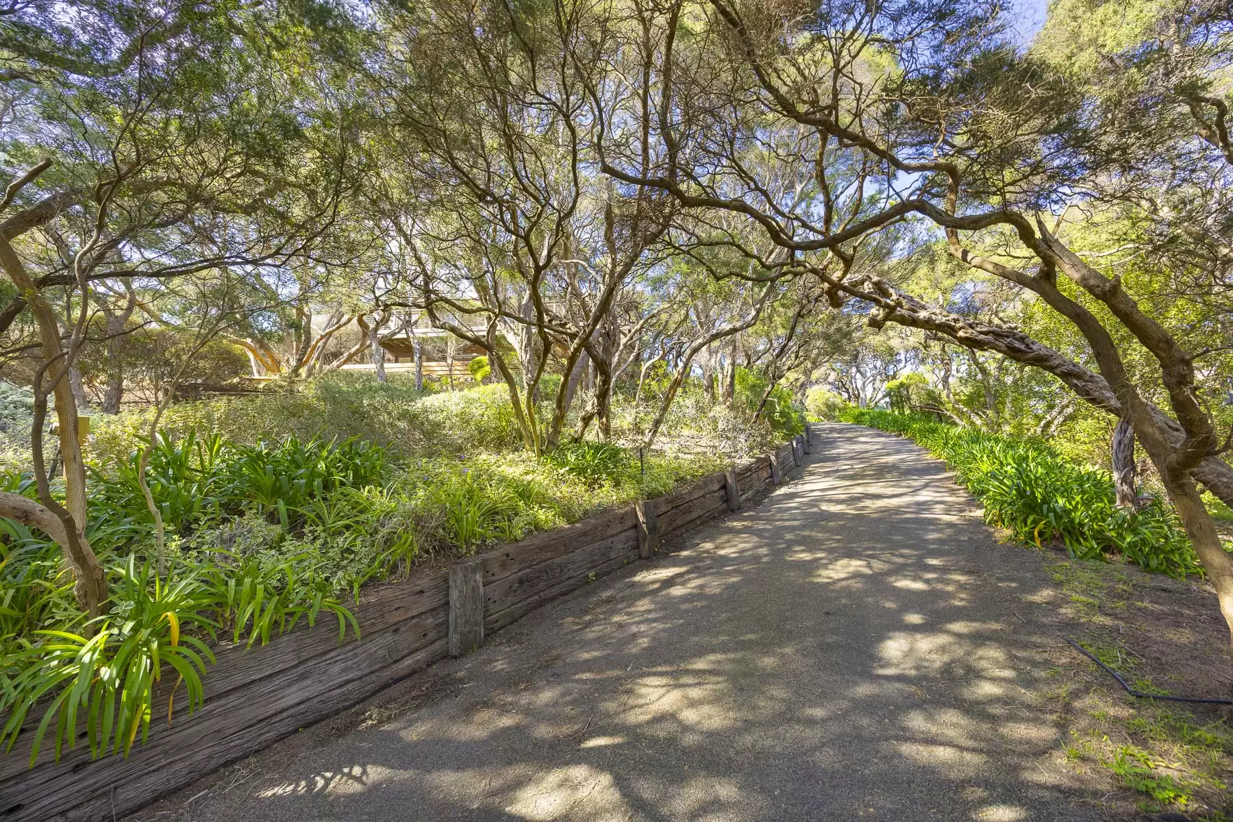 21-23 Links Road, Sorrento For Sale by Melbourne Sotheby's International Realty - image 16