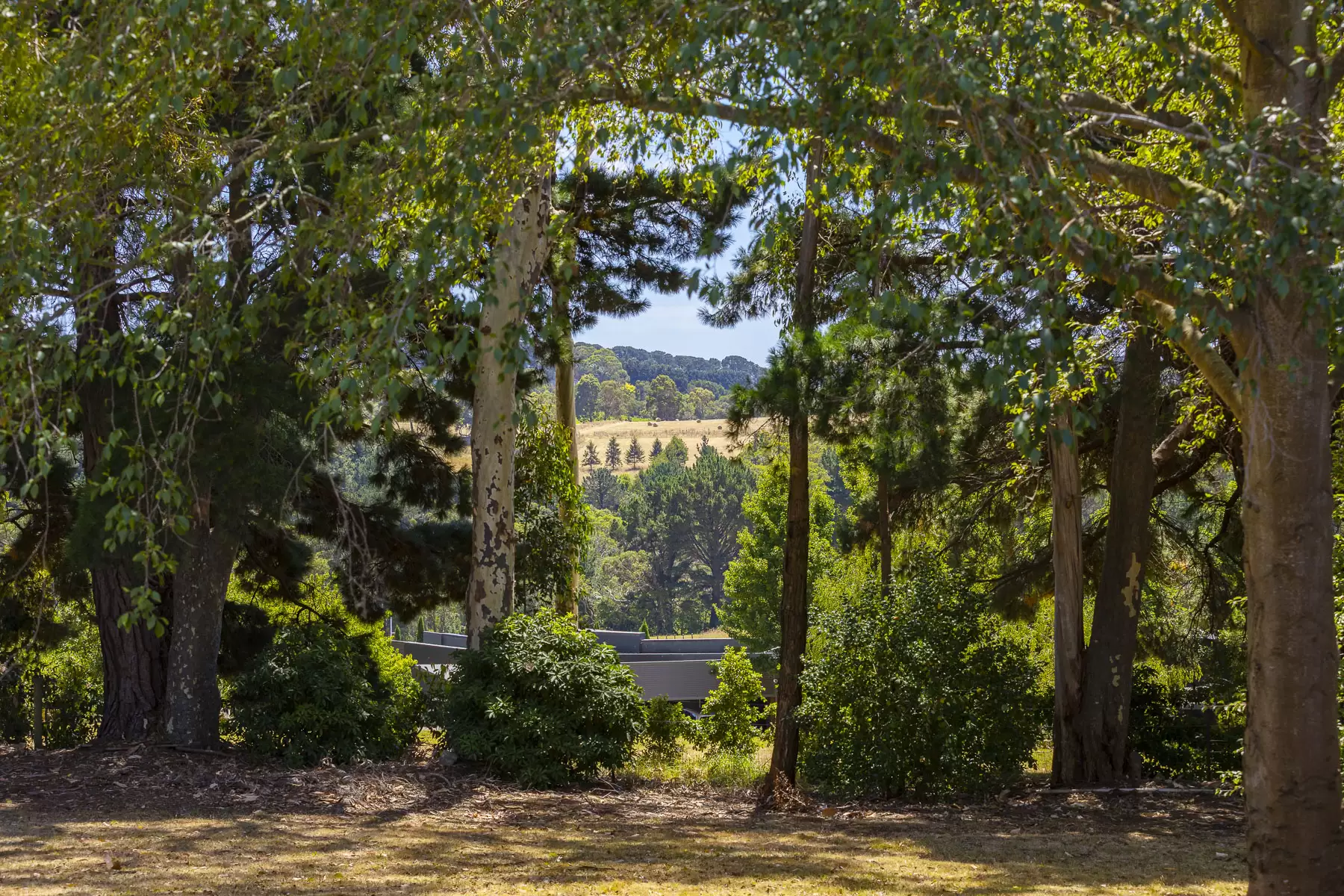 100 Stanleys Road, Red Hill South For Sale by Melbourne Sotheby's International Realty - image 8