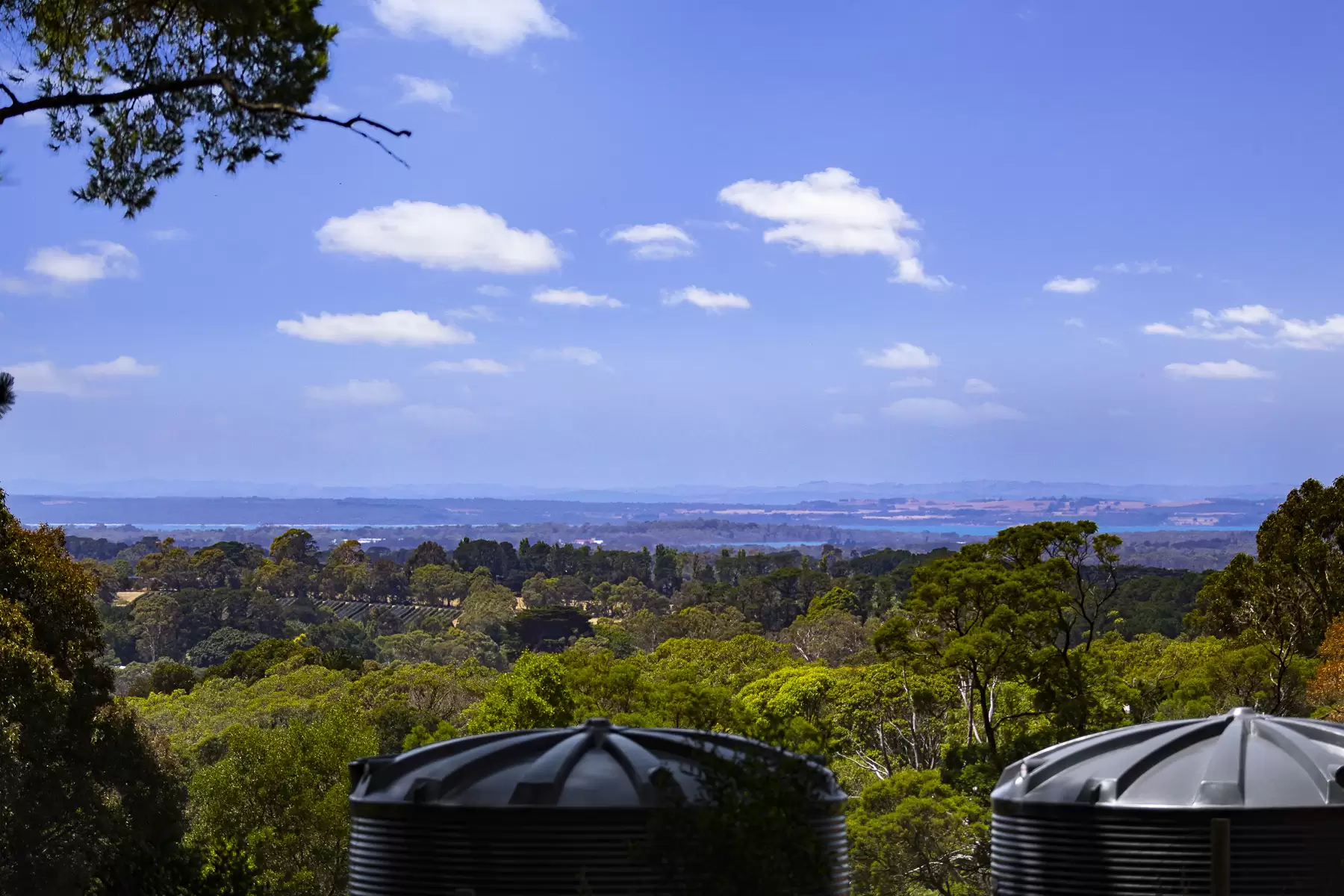 100 Stanleys Road, Red Hill South For Sale by Melbourne Sotheby's International Realty - image 6