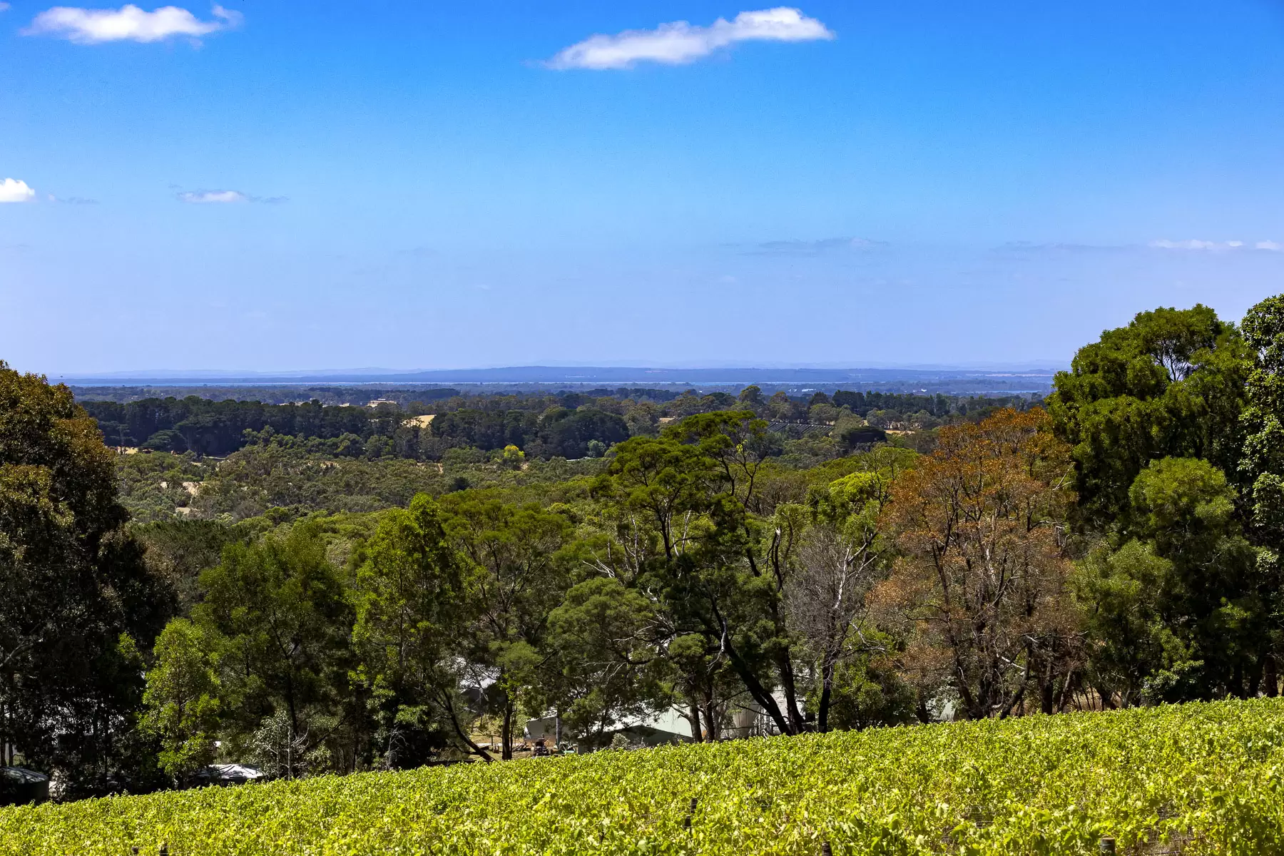 100 Stanleys Road, Red Hill South For Sale by Melbourne Sotheby's International Realty - image 7