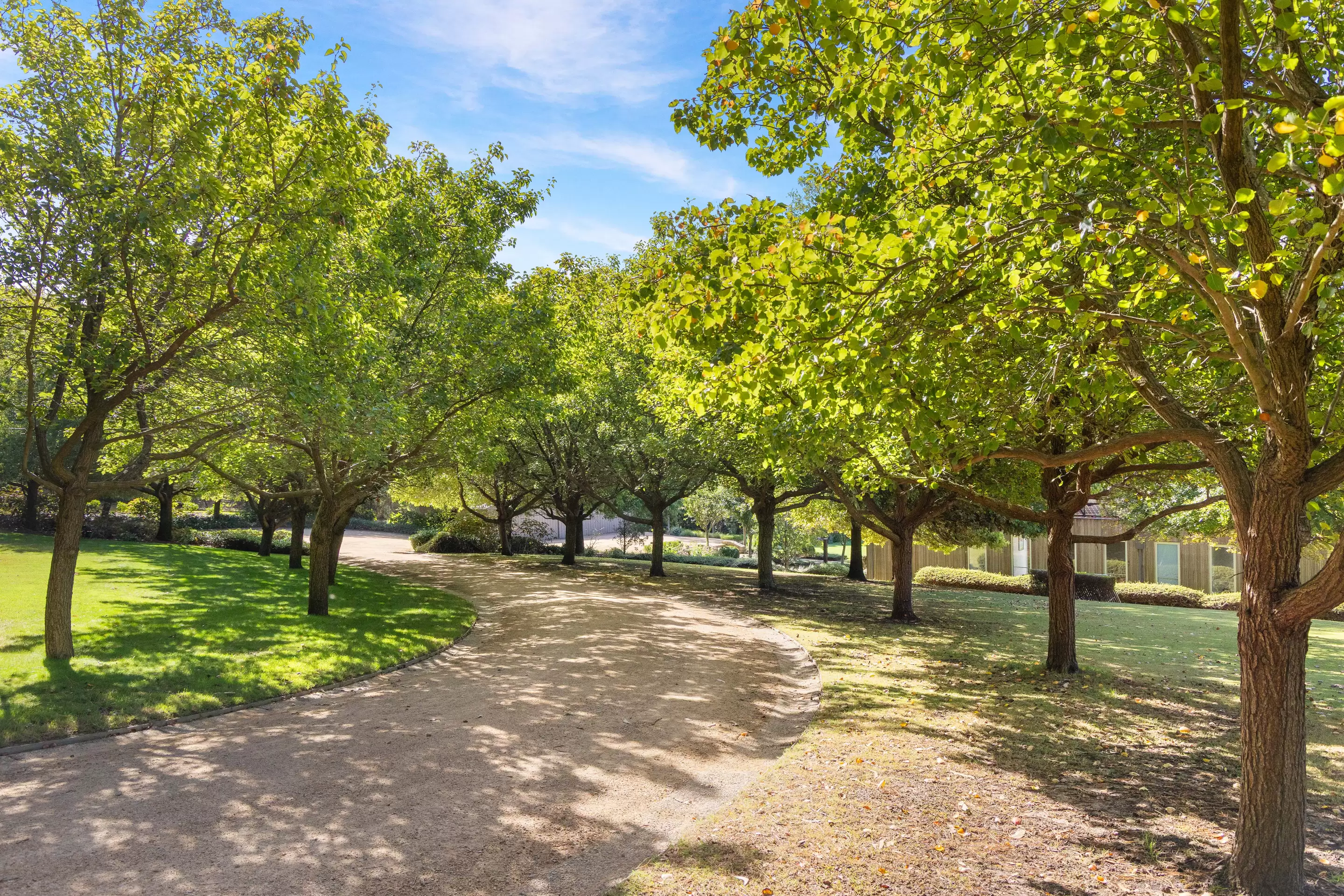 143 Point Leo Road, Red Hill South For Sale by Melbourne Sotheby's International Realty - image 5