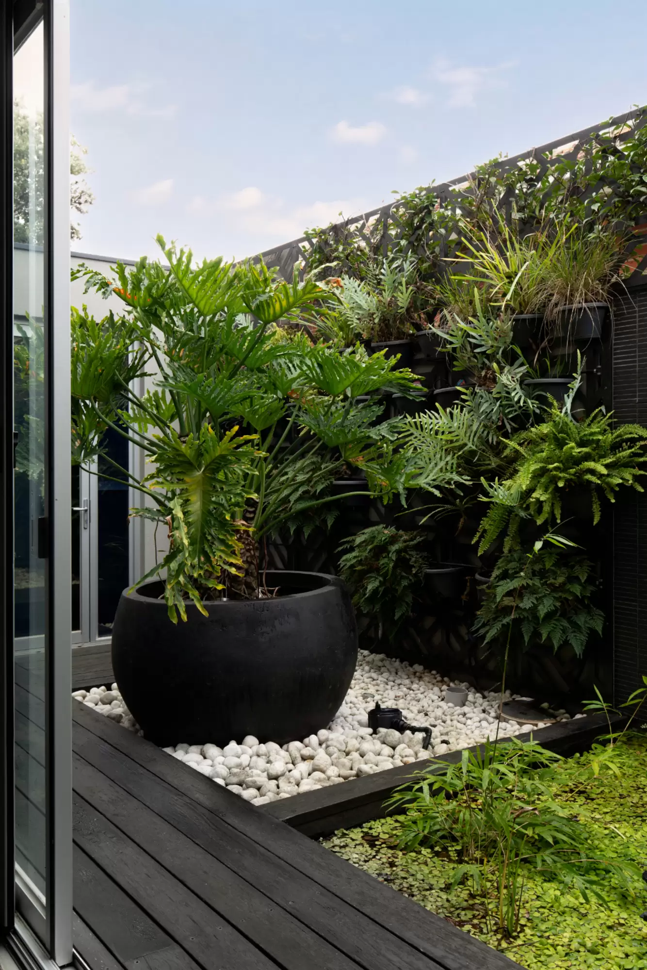 10A Dawson Avenue, Brighton Expressions of Interest by Melbourne Sotheby's International Realty - image 27