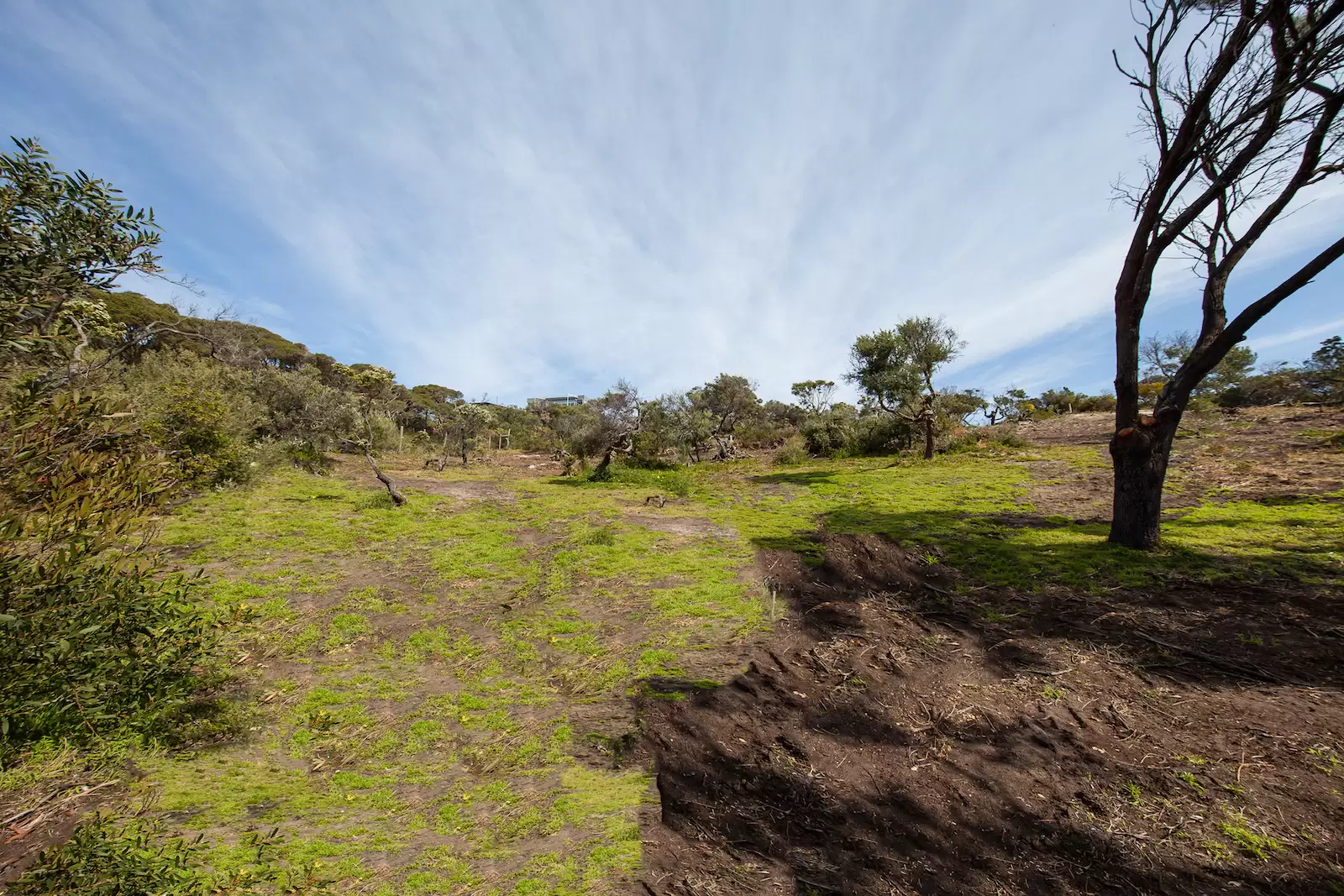 28 Ritchie Avenue, Blairgowrie Sold by Melbourne Sotheby's International Realty - image 4