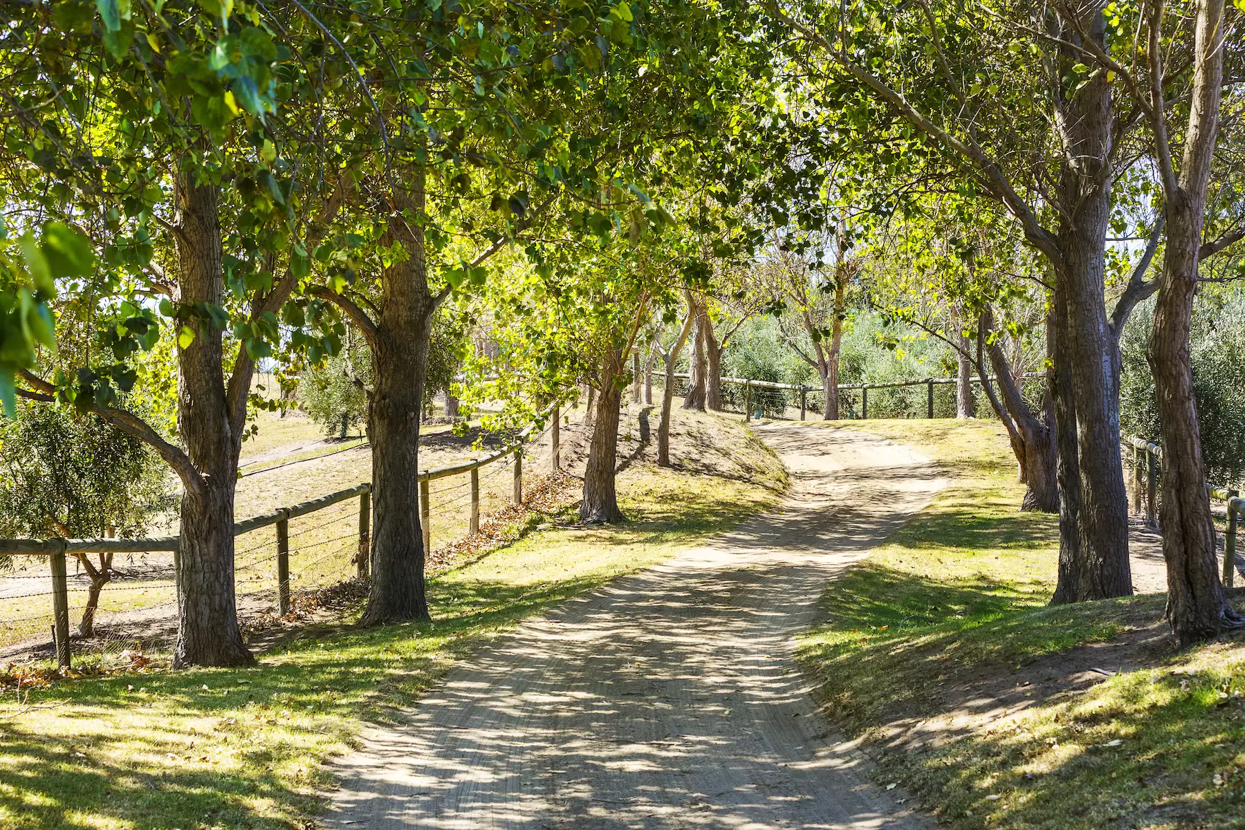 451 Truemans Road, Boneo Sold by Melbourne Sotheby's International Realty - image 4